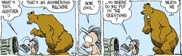 grizzwells